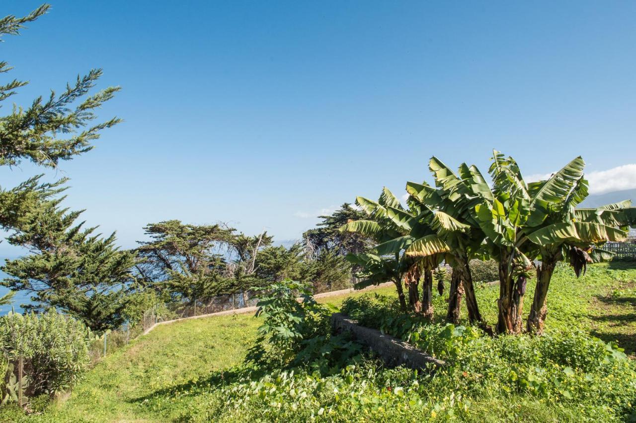 Casas En Finca Ecologica La Espiral, Naturaleza, Calma Y Vistas Al Mar, Икод-эль-Альто Экстерьер фото