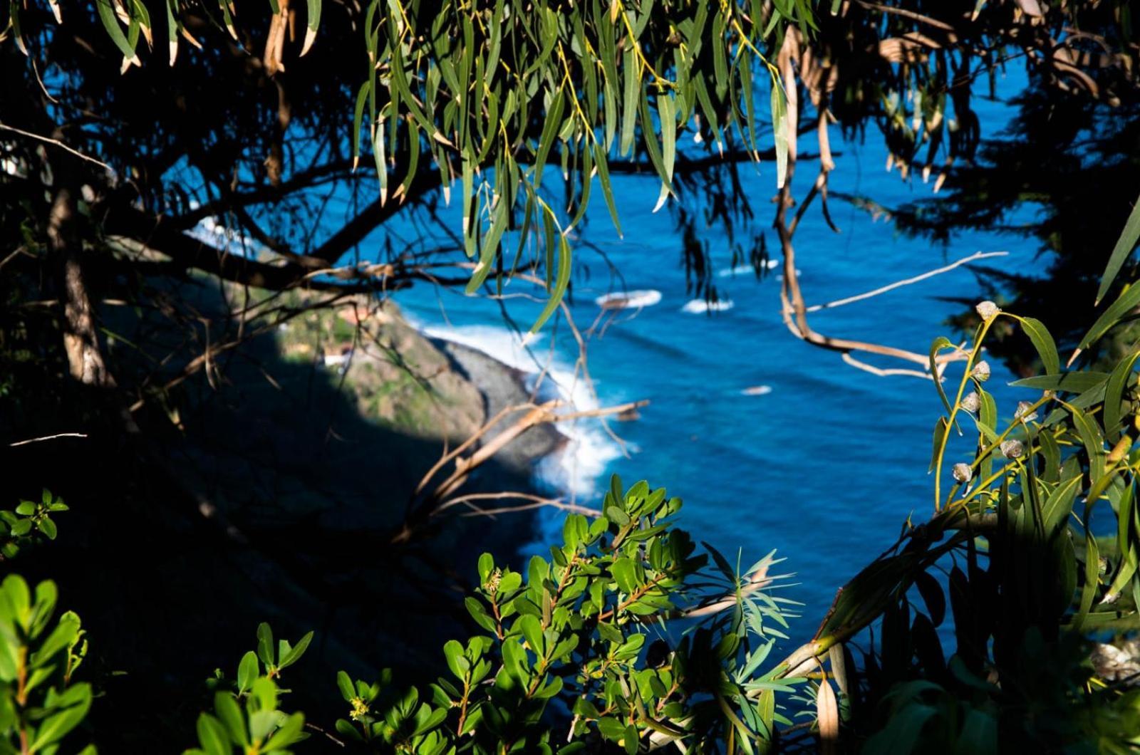 Casas En Finca Ecologica La Espiral, Naturaleza, Calma Y Vistas Al Mar, Икод-эль-Альто Номер фото